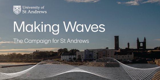 Making Waves Campaign graphic Making Waves Campaign graphic