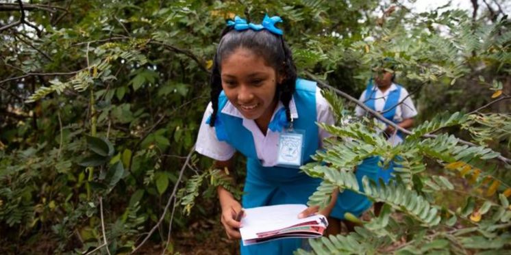 Image from South Rupununi Conservation Society