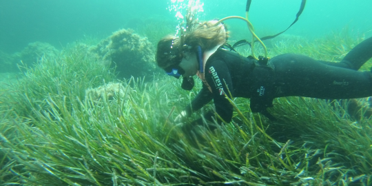 Berta scuba diving as part of her conservation work Berta scuba diving as part of her conservation work