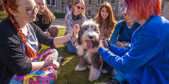 students with dog