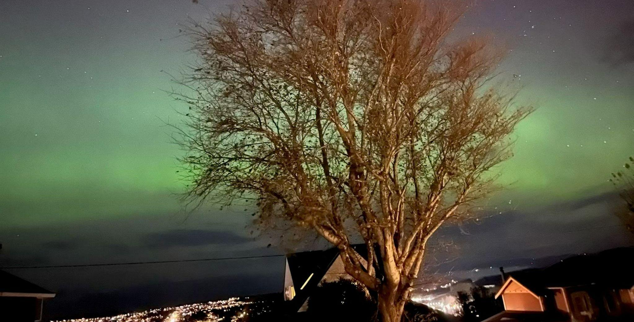 The Aurora Australis over Dunedin The Aurora Australis over Dunedin