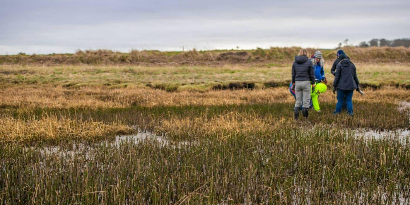 St Andrews saltmarsh is pictured with a group of researchers in the right hand corner, exploring the saltmarsh. 
