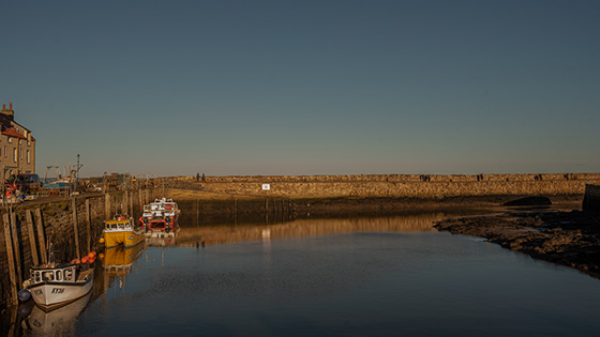 st andrews harbour