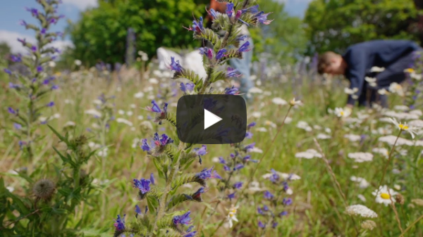 St Andrews Nature Networks - Green Gown Awards 2025